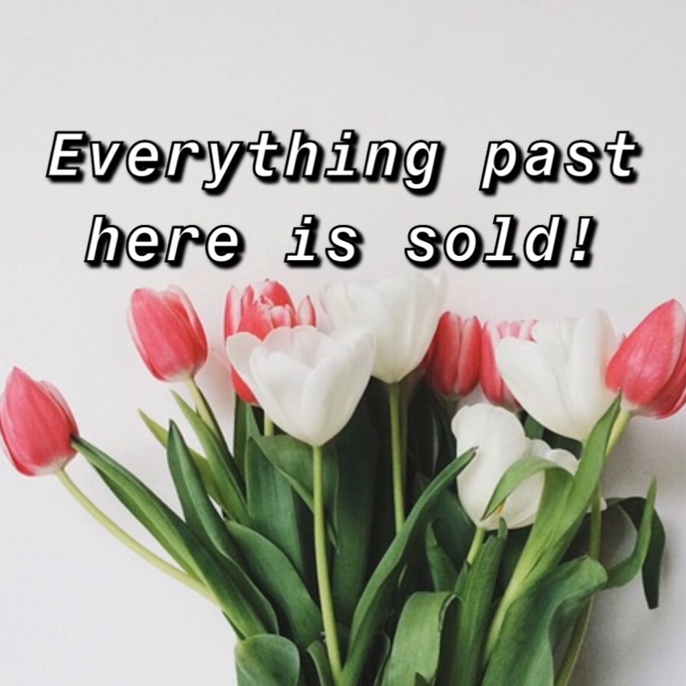 🌸🌸🌸